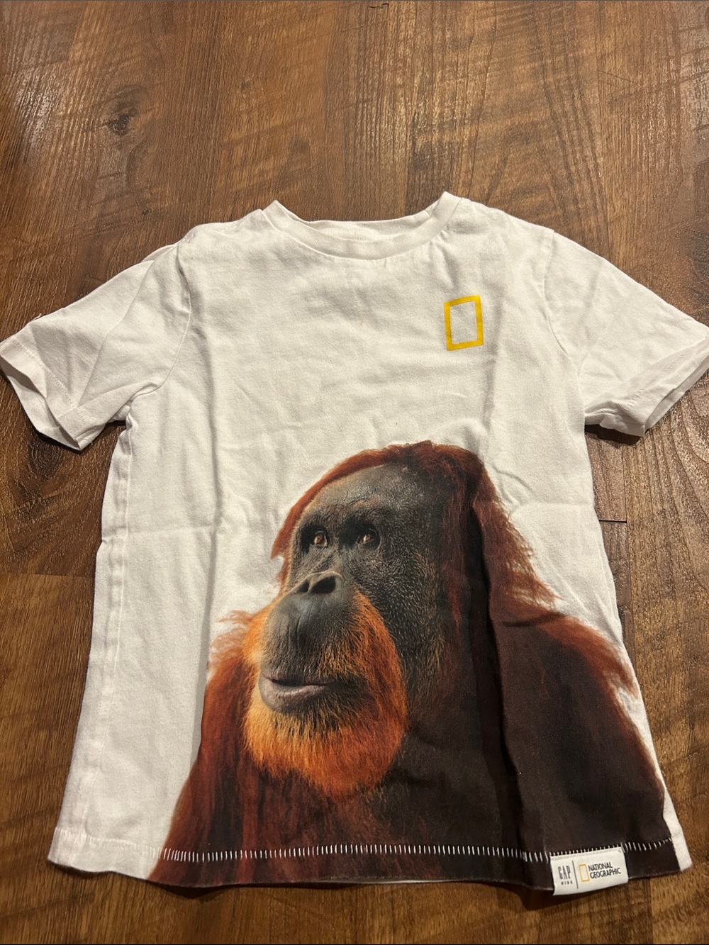 Gap National Geographic Orangutan T-Shirt